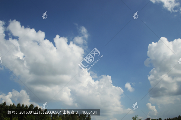 高清藍天白云林子樹木背景