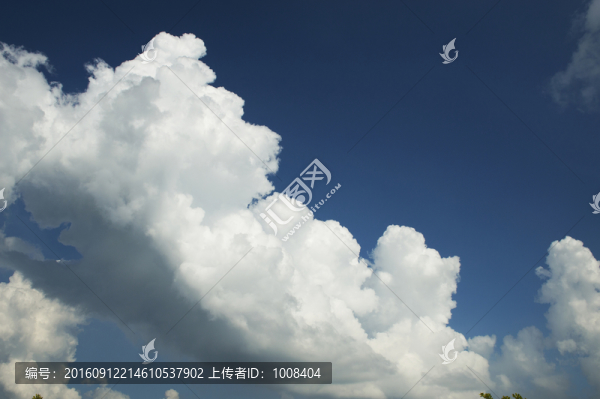 高清藍天白云云朵云彩樹木林背景