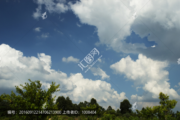 高清藍(lán)天白云樹木林子背景素材