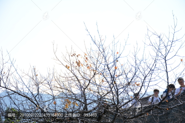 八達(dá)嶺長城上的風(fēng)景