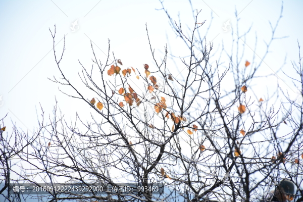 八達(dá)嶺長(zhǎng)城上的風(fēng)景