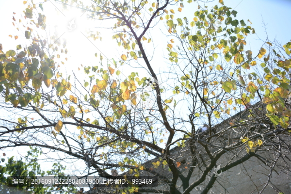 八達(dá)嶺長(zhǎng)城上的風(fēng)景