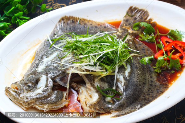 多寶魚