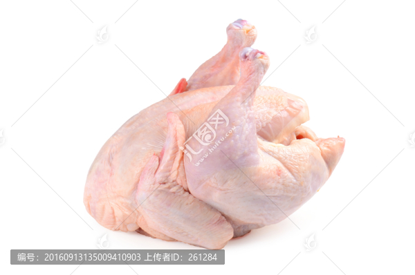 雞肉