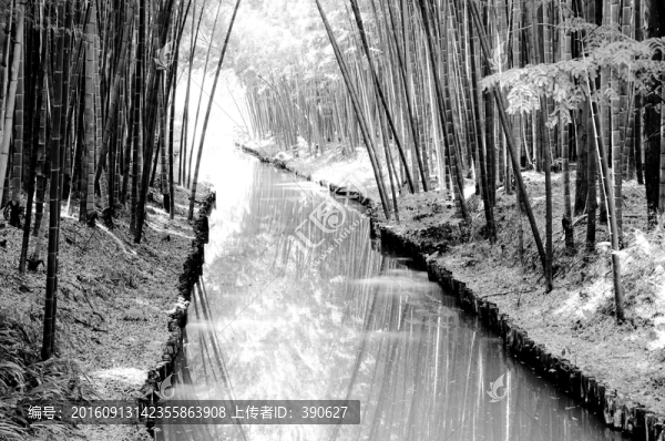 竹林里的小河