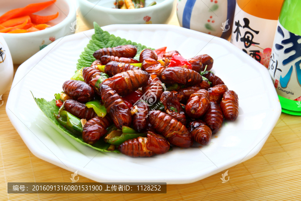 繭蛹