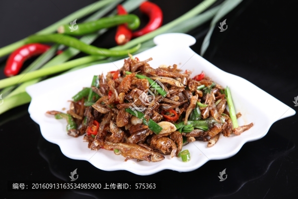 長沙魚蝦