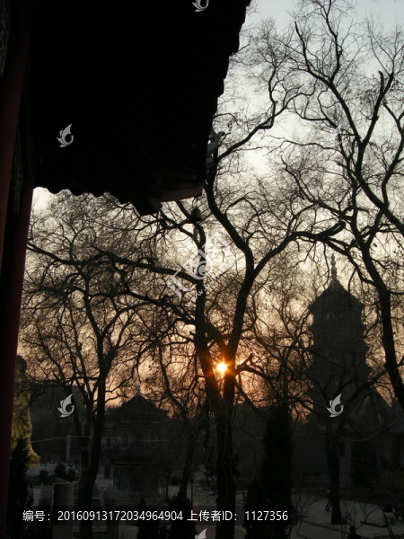 極樂(lè)寺
