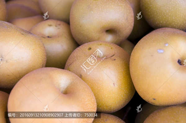大黃梨