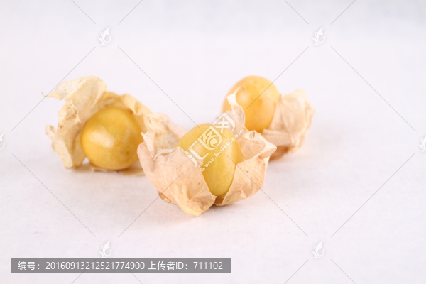 燈籠果