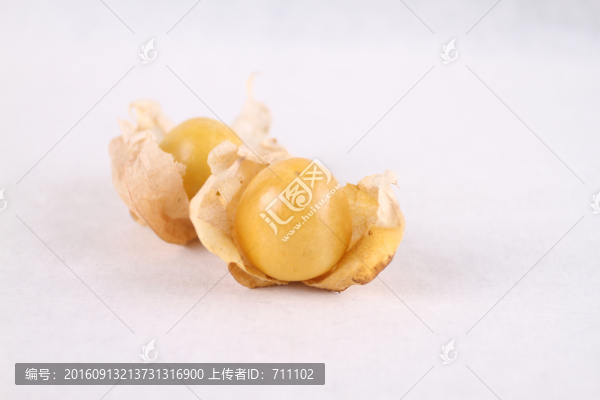 燈籠果