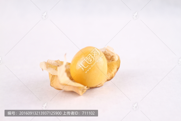 燈籠果