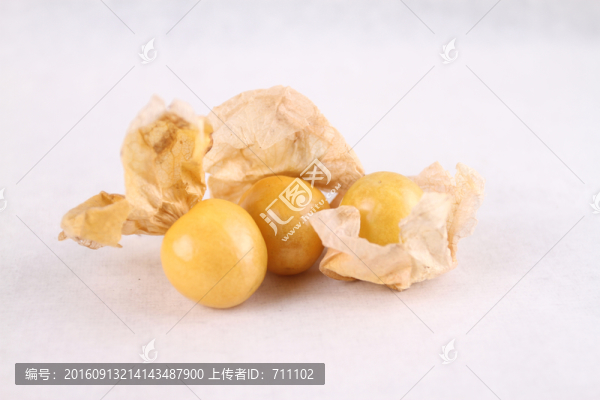 燈籠果