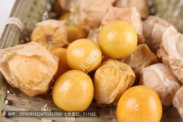 燈籠果-匯圖網(wǎng) www.fosd68.com 燈籠果