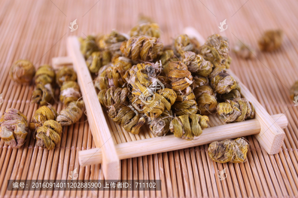 鐵皮石斛,鐵皮楓斗