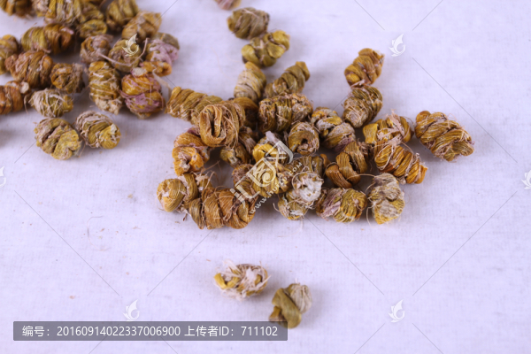鐵皮石斛