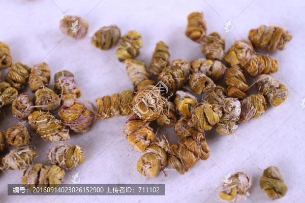 鐵皮石斛