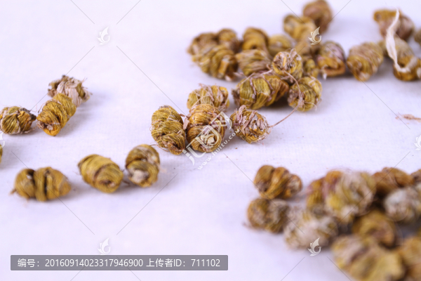 鐵皮石斛