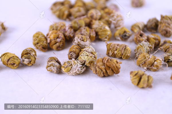 鐵皮石斛