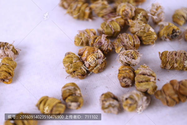 鐵皮石斛