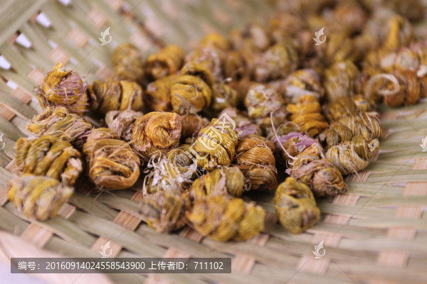 鐵皮石斛