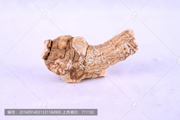 西洋參