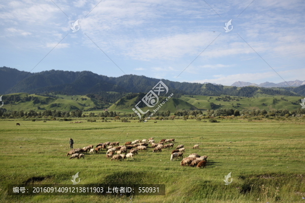 那拉提草原風(fēng)光