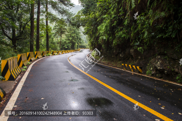 森林公路
