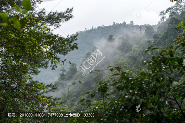 高山云霧