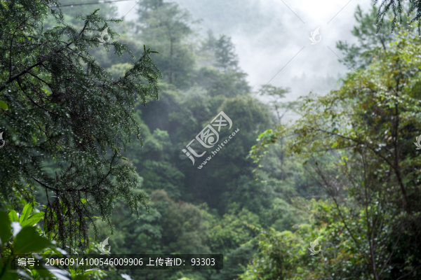 高山云霧