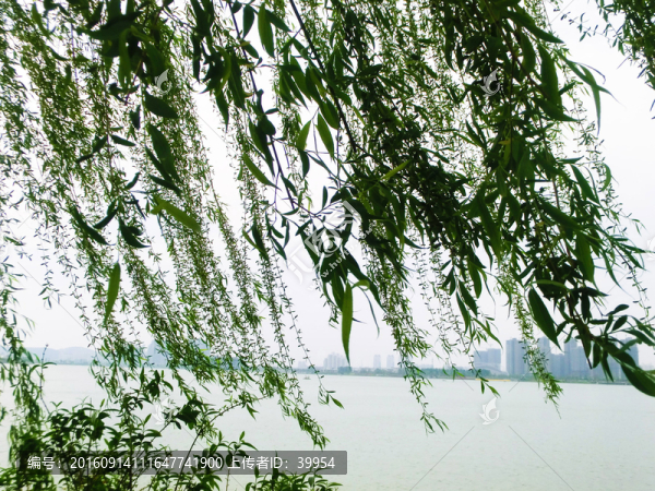 徐州云龍湖風(fēng)景區(qū)