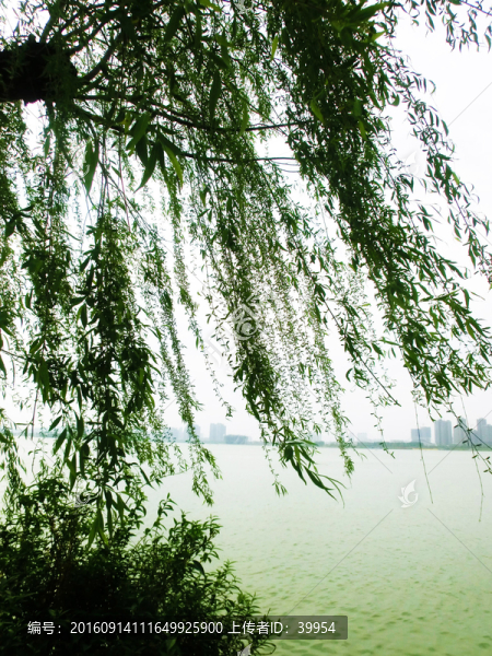 徐州云龍湖春天風(fēng)景