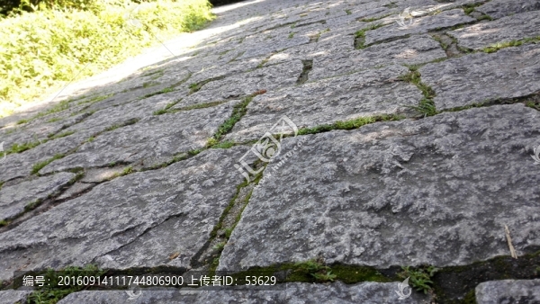 深圳水庫石頭街道長(zhǎng)廊綠道
