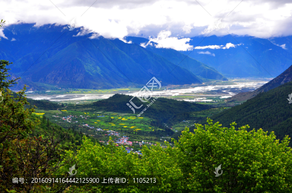 林芝風(fēng)光