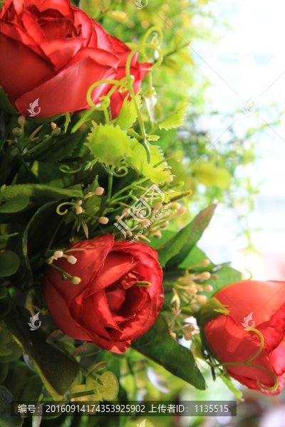 裝飾花,花草