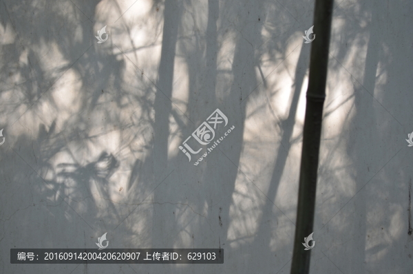 竹影