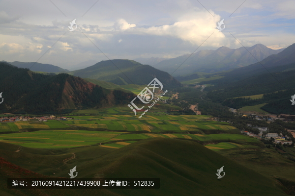 卓爾山