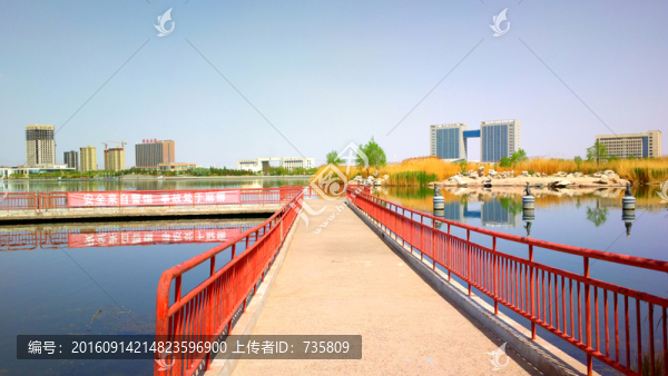 橋