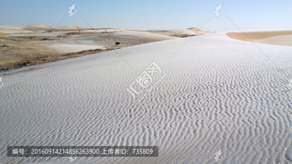 沙漠