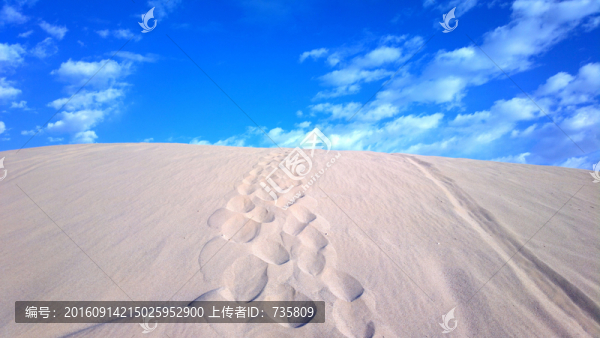 沙漠痕跡