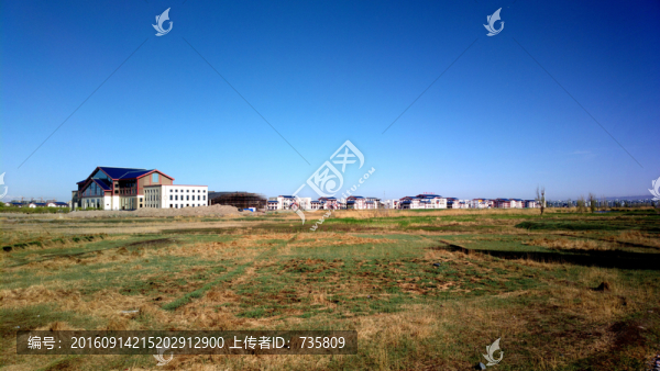 田野