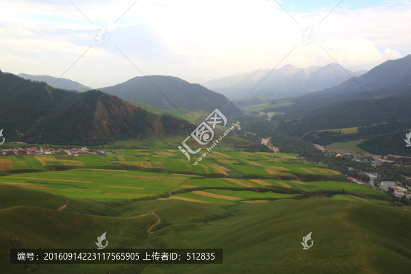 卓爾山
