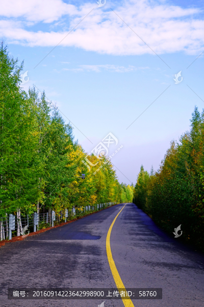 山林道路