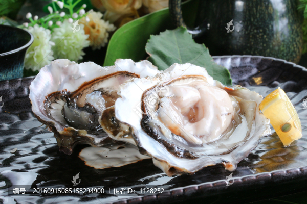 海蠣頭
