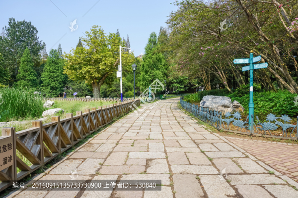 公園小路