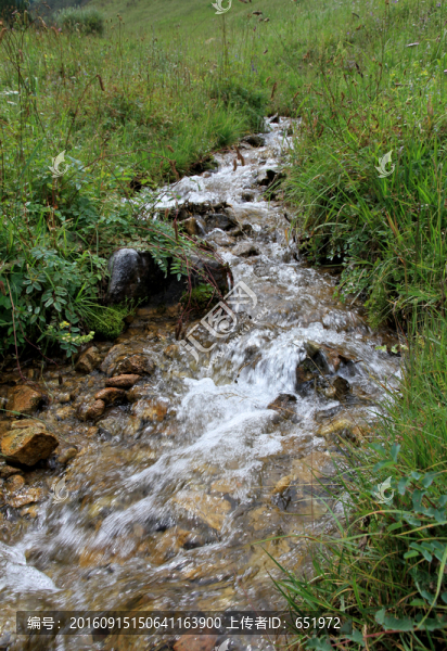 山澗小溪