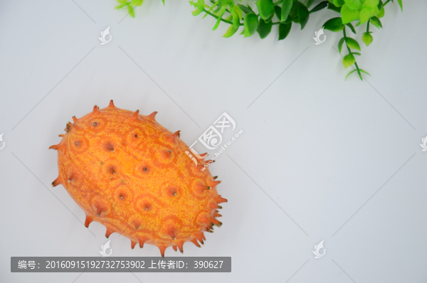 火參果