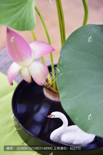 香道養(yǎng)生