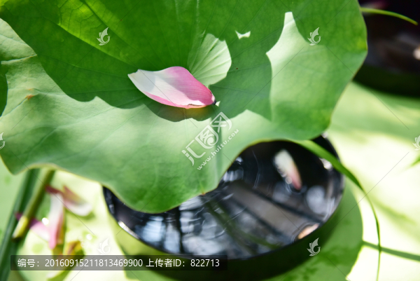 香道