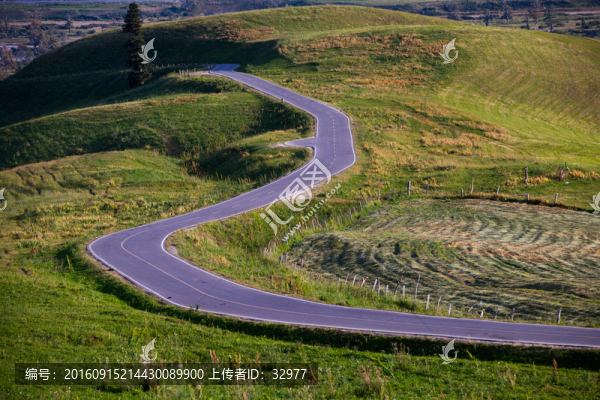 路